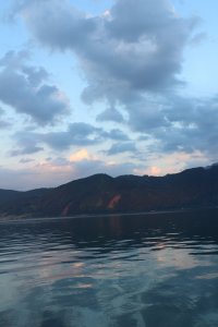 IMG_0469